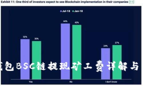 TP钱包BSC链提现矿工费详解与策略