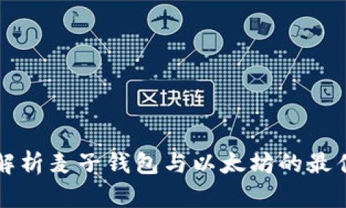 全面解析麦子钱包与以太坊的最佳实践