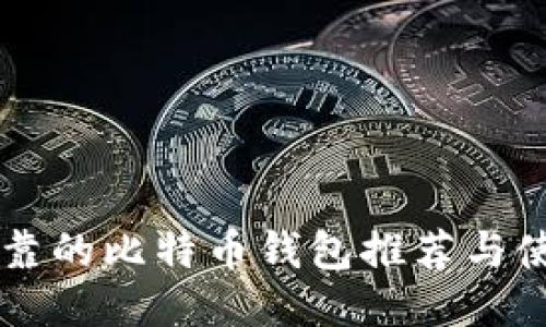 中国可靠的比特币钱包推荐与使用指南