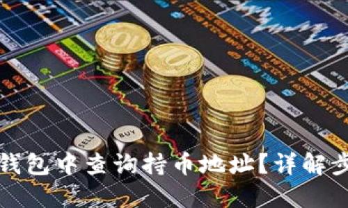 如何在TP钱包中查询持币地址？详解步骤与技巧