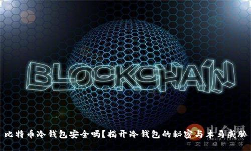 比特币冷钱包安全吗？揭开冷钱包的秘密与木马威胁