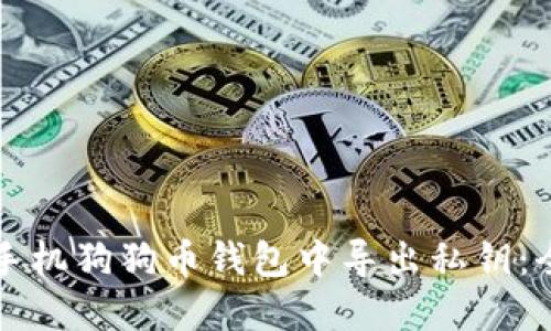 如何在手机狗狗币钱包中导出私钥：全面指南