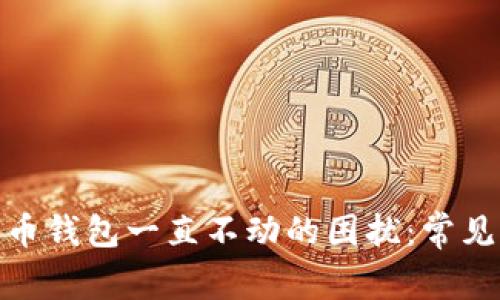 : 解决电脑狗狗币钱包一直不动的困扰：常见问题及解决方案