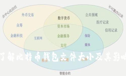 深入了解比特币钱包文件大小及其影响因素