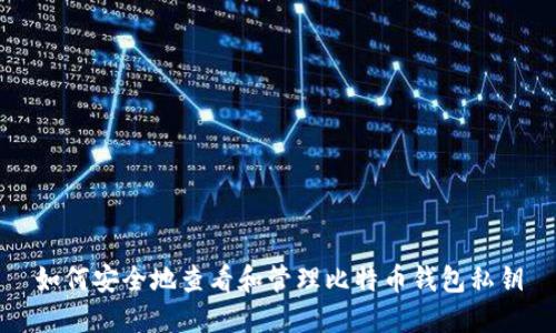 如何安全地查看和管理比特币钱包私钥