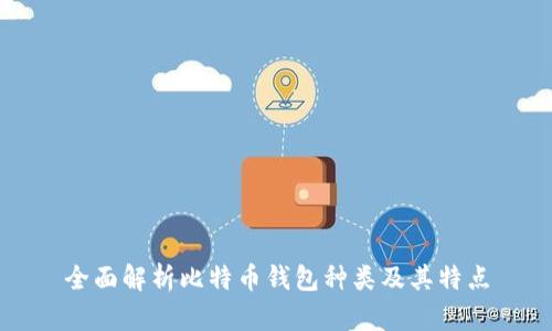 全面解析比特币钱包种类及其特点