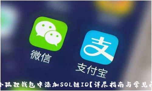   
如何在小狐狸钱包中添加SOL链ID？详尽指南与常见问题解答