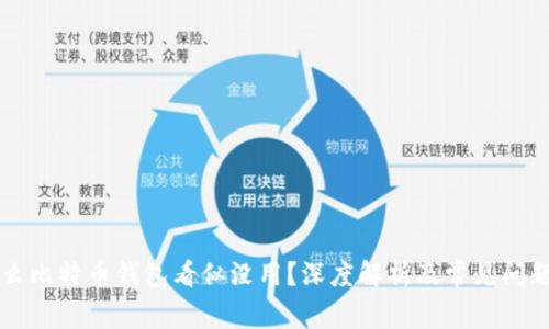 为什么比特币钱包看似没用？深度解析及常见问题解答