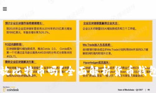 文章  
货币钱包可以存放比特币吗？全面解析货币钱包与比特币的关系
