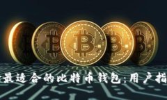 如何选择最适合的比特币