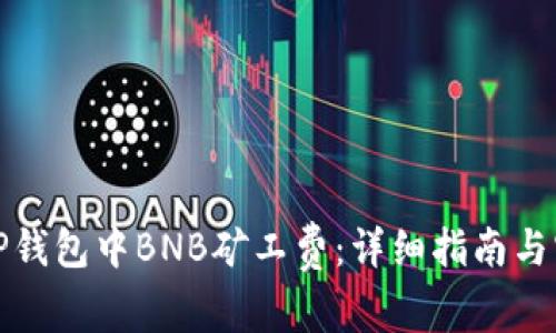 如何在TP钱包中BNB矿工费：详细指南与实用技巧