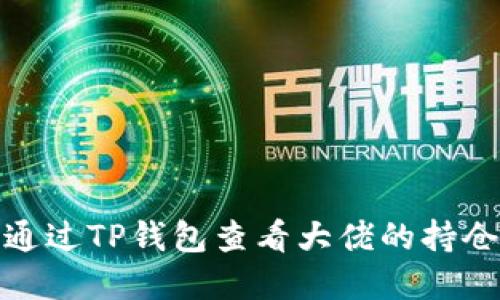 如何通过TP钱包查看大佬的持仓情况