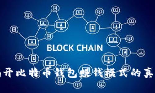 揭开比特币钱包赚钱模式的真相