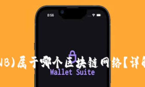 TP冷钱包中的币安币(BNB)属于哪个区块链网络？详解币安智能链与钱包使用