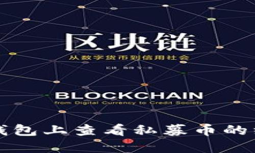 如何在TP钱包上查看私募币的线索与信息