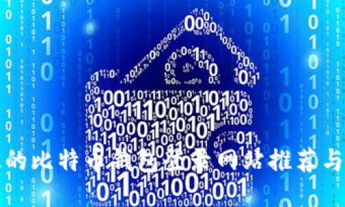 安全高效的比特币钱包登录网站推荐与使用指南