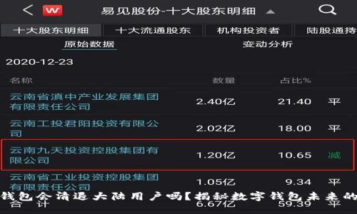 题目: TP钱包会清退大陆用户吗？揭秘数字钱包未来的发展趋势