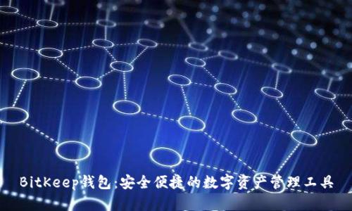 BitKeep钱包：安全便捷的数字资产管理工具