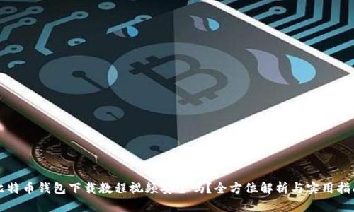 比特币钱包下载教程视频安全吗？全方位解析与实用指南