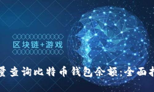 如何高效地批量查询比特币钱包余额：全面指南与实用技巧