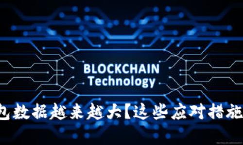 比特币钱包数据越来越大？这些应对措施你了解吗？