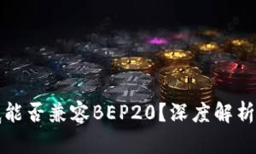 TP钱包到底能否兼容BEP20？深度解析与实用指南