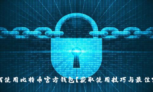如何使用比特币官方钱包？获取使用技巧与最佳实践