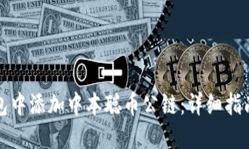 如何在TP钱包中添加中本聪币公链：详细指南与实用技巧