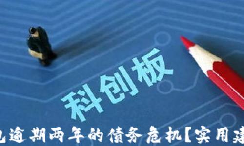 
如何面对u钱包逾期两年的债务危机？实用建议与解决方案