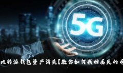 比特派钱包资产消失？教