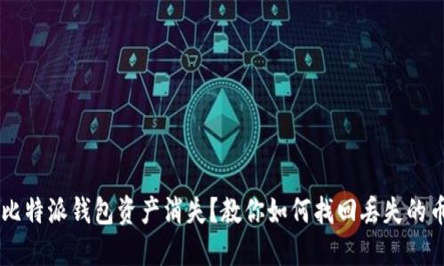 比特派钱包资产消失？教你如何找回丢失的币