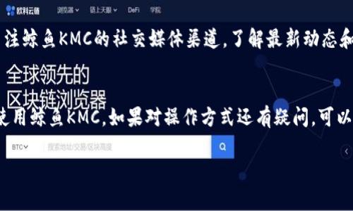 鲸鱼KMC和TP钱包是一个相对小众的组合，通常情况下，它们之间的直接关联并不是很明显。鲸鱼KMC通常是指某个特定的区块链项目或虚拟货币，而TP钱包（TokenPocket Wallet）是一种流行的数字资产钱包，支持多种区块链资产的管理。

若要在TP钱包使用鲸鱼KMC，这需要考量几个方面的因素：

### 1. **鲸鱼KMC的链上资产** 
要了解鲸鱼KMC是否能在TP钱包中使用，首先需要确认鲸鱼KMC是否在TP钱包支持的链上运行。如果鲸鱼KMC是基于以太坊等主流区块链的代币，那么在TP钱包中添加此类代币通常是可能的。

### 2. **TP钱包的支持范围** 
TP钱包支持多种主流和非主流的数字货币与代币。用户可以在TP钱包的官方渠道查看支持的代币列表。如果鲸鱼KMC在支持的范围之内，用户便可以直接在钱包中管理这些资产。

### 3. **操作步骤**
如果鲸鱼KMC可以被TP钱包支持，用户需要按照以下步骤来添加和管理鲸鱼KMC资产：

#### 步骤一：下载TP钱包
用户首先需要拥有TP钱包，可以在App Store或Google Play中下载。

#### 步骤二：创建或导入钱包账户
安装完成后，用户可以选择创建一个新钱包，或导入现有的钱包。确保安全备份助记词和私钥。

#### 步骤三：添加鲸鱼KMC代币
进入TP钱包的主界面，选择“添加代币”选项。用户可以搜索鲸鱼KMC，或手动输入合约地址。如果成功添加，就可以查看和管理鲸鱼KMC资产。

### 4. **风险提示**
在进行任何交易或资产管理之前，用户应当充分了解相关风险。数字货币市场波动性较大，建议谨慎投资。

### 5. **社区与开发者支持**
鲸鱼KMC项目的社区支持和开发者活跃程度对于它能否在TP钱包中顺利运作也至关重要。可以关注鲸鱼KMC的社交媒体渠道，了解最新动态和社区活动，这样不仅可以获得第一手信息，还有机会参与到项目的发展当中。

### 6. **结论**
虽然鲸鱼KMC与TP钱包之间并没有直接关联，但通过合理的方式管理，用户依然可以在TP钱包中使用鲸鱼KMC。如果对操作方式还有疑问，可以参考TP钱包的官方帮助中心，或与鲸鱼KMC社区互动，获取更多实时的支持。

希望这些信息能对你有所帮助！