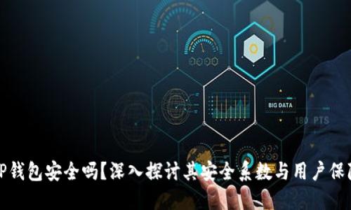 TP钱包安全吗？深入探讨其安全系数与用户保障