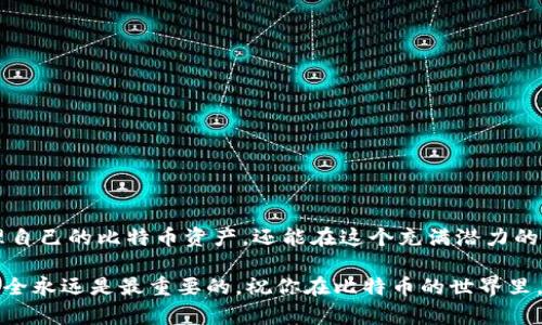 构建你的比特币钱包：简单步骤与技巧全攻略

比特币, 比特币钱包, 加密货币, 数字资产, 区块链/guanjianci

引言：为何要建立比特币钱包？
在数字经济迅速崛起的今天，比特币作为一种新兴的资产形式，不仅仅是投资的工具，更成为了一种价值的象征。越来越多的人开始关注比特币，对其交易、存储以及管理方式产生了浓厚的兴趣。为了更好地掌握自己的比特币资产，建立一个安全有效的比特币钱包成为了首要任务。

比特币钱包概述
比特币钱包是用于存储和管理比特币的工具，它并不是一个真正意义上的钱包，而是一个程序或设备，允许用户与区块链进行交互。它的主要功能是生成和管理比特币地址，签署交易，以及监控余额。钱包有多种类型，主要分为热钱包和冷钱包。热钱包连接到互联网，适合频繁交易；冷钱包则离线存储，更加安全，但不适合即时交易。

选择你的钱包类型
在开始创建钱包之前，首先要选择适合你的钱包类型。
ul
    listrong热钱包/strong: 如手机应用和在线钱包，便于使用，适合小额交易和日常消费。/li
    listrong冷钱包/strong: 如硬件钱包和纸钱包，安全性高，适合长期投资和大额资产存储。/li
/ul
若你是新手，建议先从热钱包开始，因为它们更易于管理，同时也允许你进行小额交易和学习比特币。随着经验的积累，可以逐渐向冷钱包过渡，以保护更多的资产。

步骤一：选择和下载比特币钱包软件
选择一个可靠的钱包软件是创建比特币钱包的第一步。市场上有众多软件可供选择，如：emElectrum/em、emExodus/em、emCoinbase/em等。/em这其中，Electrum以其轻量级和快速特性受到欢迎，而Exodus则因其友好的用户界面和多种资产支持而备受青睐。

在选择之前，确保对各个钱包的功能、费用、用户评价进行详细了解。找到一个信任度高、安全性好的软件或应用后，即可开始下载。同样，切忌从非官方网站下载软件，以免遭遇钓鱼攻击。

步骤二：安装软件并创建新钱包
下载完成后，按照指示进行安装。安装过程一般比较简单，只需点击几下确认安装即可。在软件首次启动时会提示你创建一个新钱包，按照提示流程进行操作。

在这个过程中，你会被要求设置一个强密码。请务必注意，密码的复杂性至关重要，要包含字母、数字和特殊字符，不要使用简单易猜的组合。如果可能的话，最好使用密码管理工具存储这个密码。

步骤三：备份你的钱包
创建完钱包后，备份是下一步必须做的重要环节。备份钱包是为了防止数据丢失或设备损坏。在绝大多数钱包软件中，你可以找到备份选项，通常会生成一个助记词。

这个助记词是恢复你钱包的关键，务必要妥善保管。你可以将其抄写在纸上，存放在安全的地方，或使用防火防水的存储材料进行保护，切勿保存在电子设备上，以免黑客攻击造成损失。

步骤四：收发比特币
现在你已经成功创建了比特币钱包，可以开始收发比特币。接收比特币时，只需给予对方你的比特币地址，监控你的钱包，确认交易是否成功。

发送比特币时，打开钱包应用，输入对方的比特币地址和发送金额。值得注意的是，不同钱包会收取不同的交易手续费，这一点需提前确认。

确保钱包安全
虽然数字货币的优势不少，但安全问题时常伴随在侧。为保护你的比特币钱包，这里有一些推荐的安全措施：

ul
    listrong启用双重认证/strong: 许多钱包提供双重认证功能，增加额外的安全层。/li
    listrong定期检查和更新/strong: 定期检查钱包的更新和安全补丁，及时更新软件。/li
    listrong谨防钓鱼攻击/strong: 不要随意点击可疑链接，不轻信不明来源的请求。/li
/ul

总结：你的数字资产第一步
建立自己的比特币钱包并不是一件复杂的事情，但却是踏入数字货币世界的第一步。通过创建一个安全、便携的钱包，不仅让你能够方便地管理自己的比特币资产，还能在这个充满潜力的行业中把握机会。无论你是在比特币市场投资，还是单纯存储与交流，掌握钱包的使用技巧都将为你带来巨大的便利。

随着科技的发展和市场的变化，比特币的未来充满了无限可能。在这个过程中，好的学习和实践，将帮助你更好地拥抱数字货币时代。请记住，安全永远是最重要的，祝你在比特币的世界里，一路顺风！