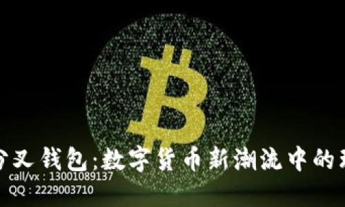 比特币分叉钱包：数字货币新潮流中的理想选择