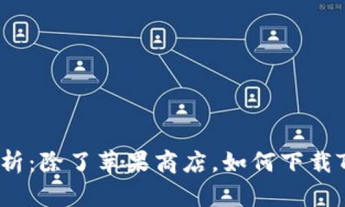 全面解析：除了苹果商店，如何下载TP钱包？