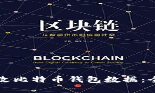 如何安全地修改比特币钱包数据：全面教程与窍门