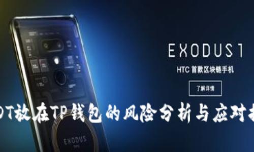 USDT放在TP钱包的风险分析与应对措施