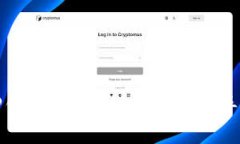 如何使用TP钱包参与分红：