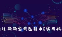 如何安全地通过狗狗宝钱