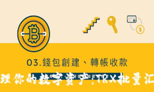   
高效管理你的数字资产：TRX批量汇集技巧