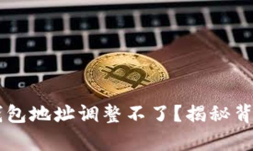 泰达币（Tether）钱包地址调整不了？揭秘背后原因与解决方案