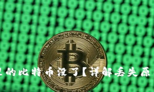 比特币钱包里的比特币没了？详解丢失原因与恢复方法