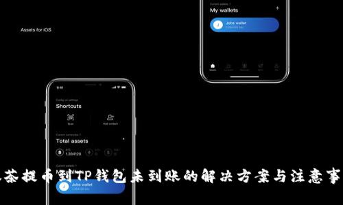 抹茶提币到TP钱包未到账的解决方案与注意事项
