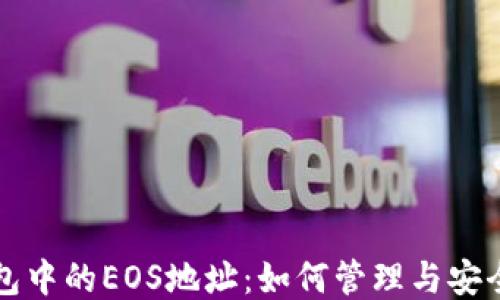 
TP钱包中的EOS地址：如何管理与安全使用