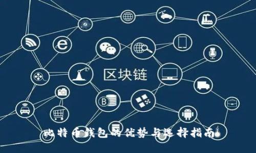 比特币钱包的优势与选择指南