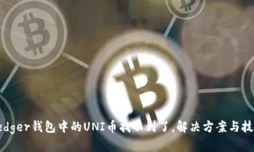 Ledger钱包中的UNI币找不到了，解决方案与技巧