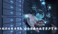 尼日利亚比特币钱包：安