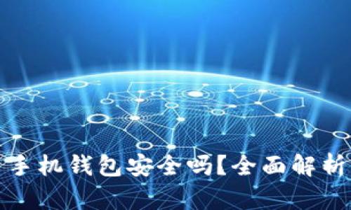 比特币手机钱包安全吗？全面解析与建议