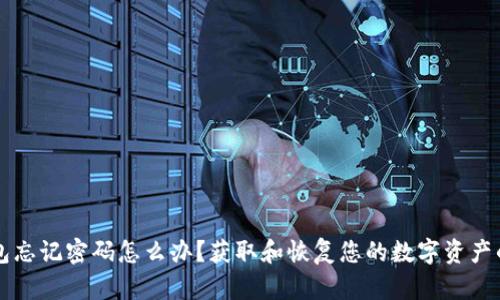 以太坊钱包忘记密码怎么办？获取和恢复您的数字资产的全面指南